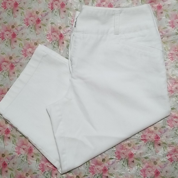 Spring summer crops - Picture 6 of 9